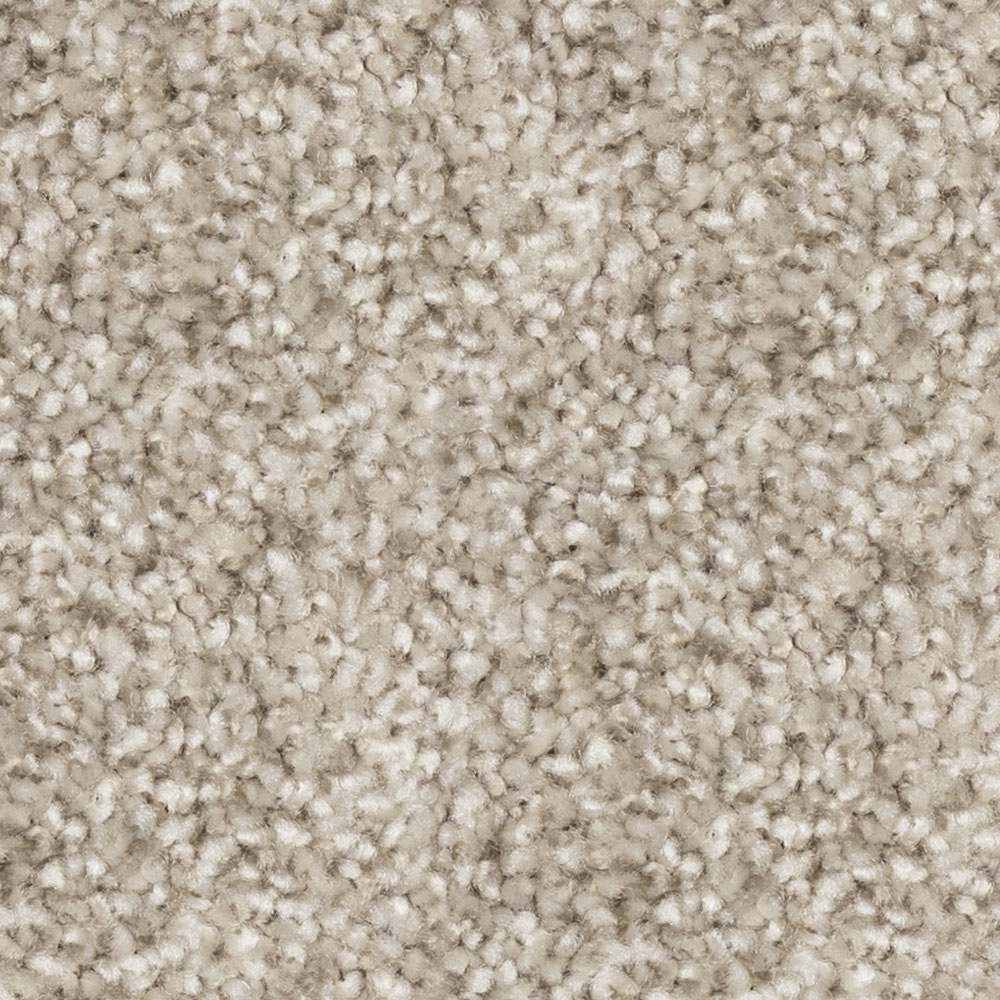 beaulieuusa residential,all Carpet Prodigy j4695